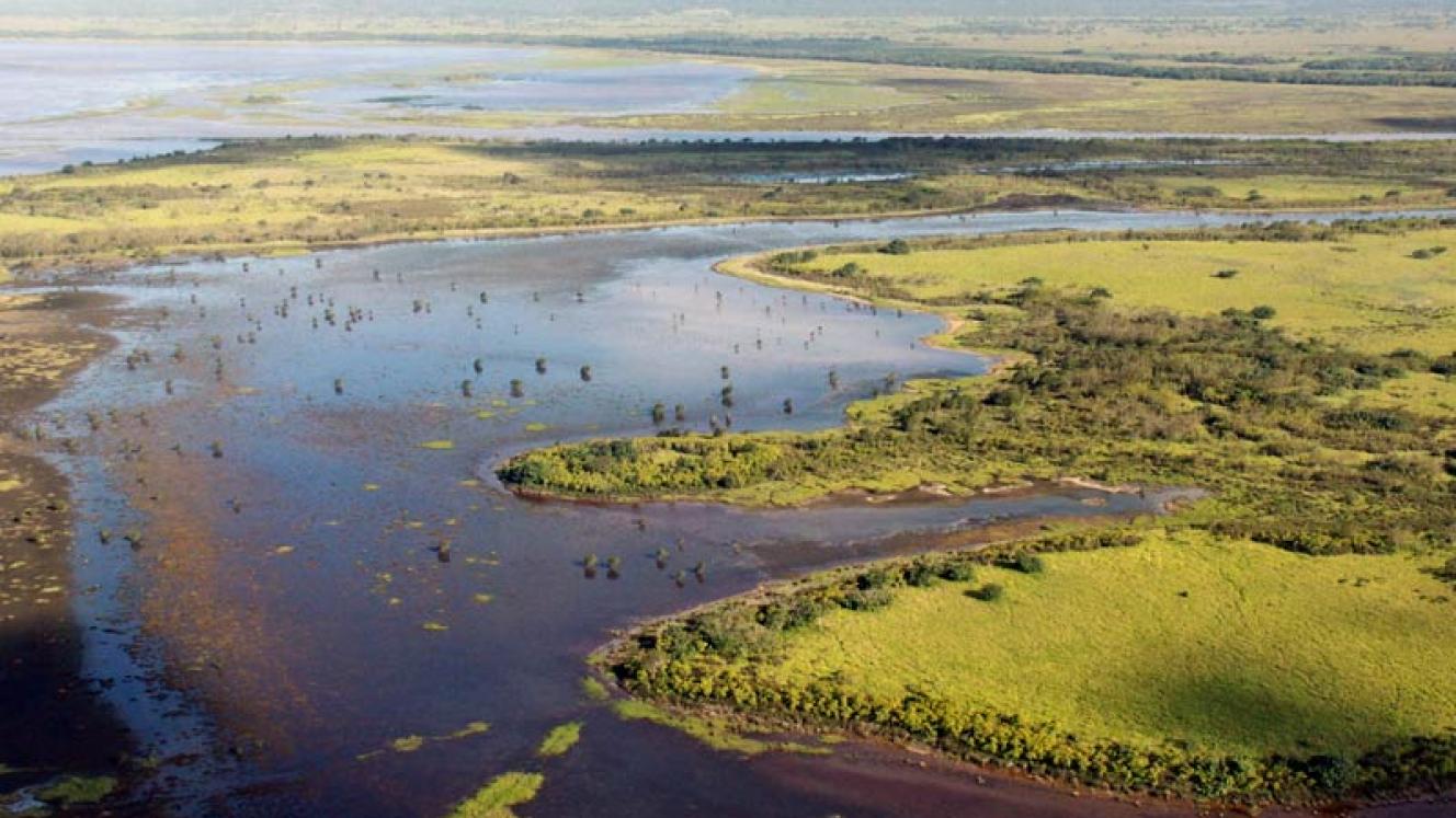 Lake St Lucia in KZN will have a portion of its artificially created island removed. 