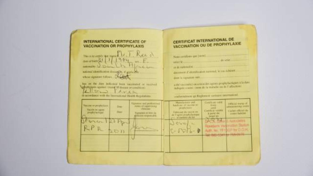 The World Health Organisation says Zambia has low yellow fever potential.