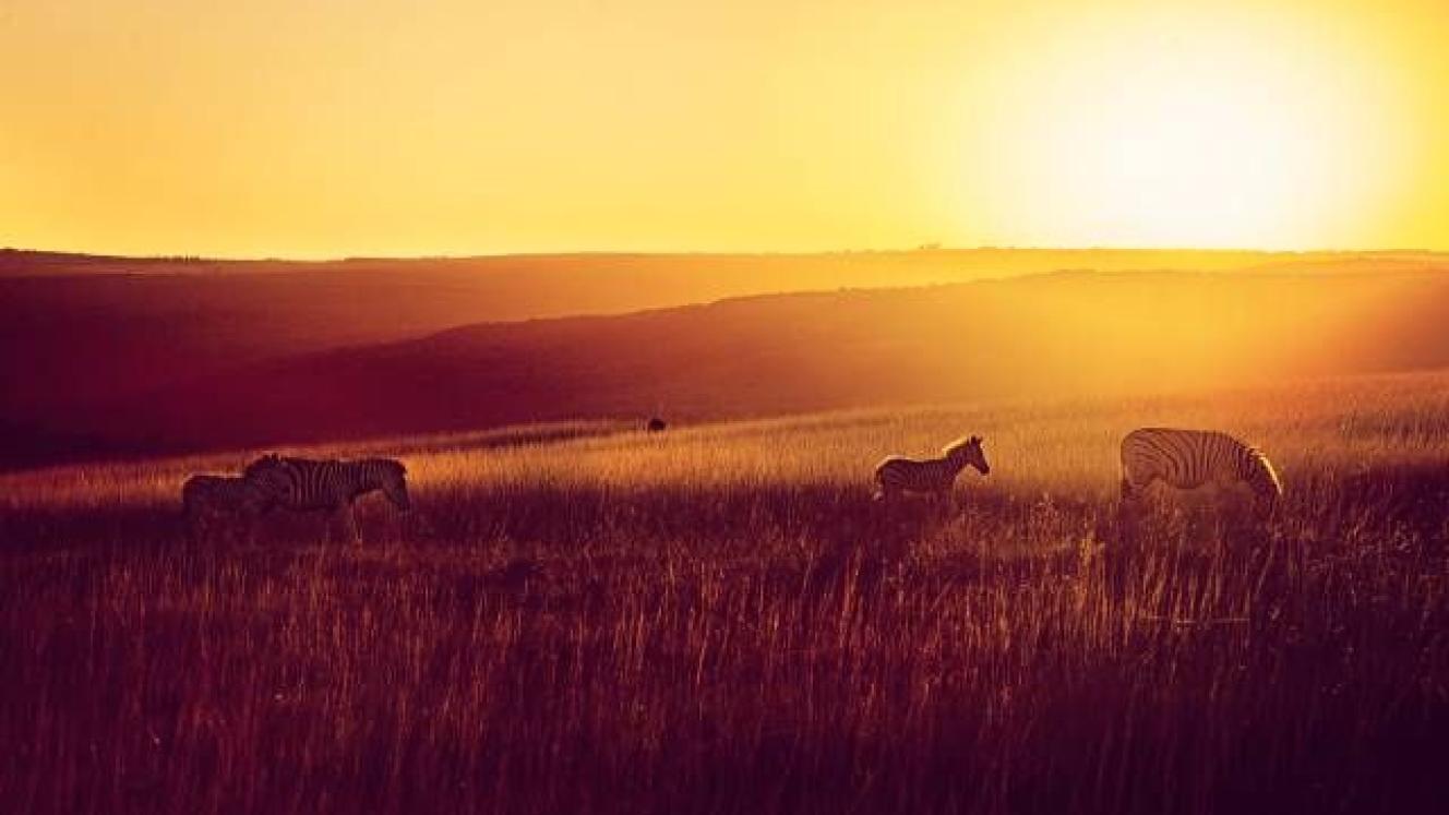 The new Land Holdings bill limits land ownership of game reserves to 12 000 hectares.