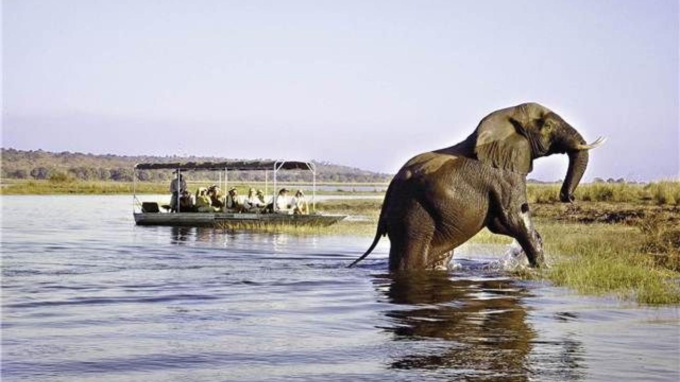 Tourists visit Botswana for its wilderness areas and wildlife offerings, say tour operators.
