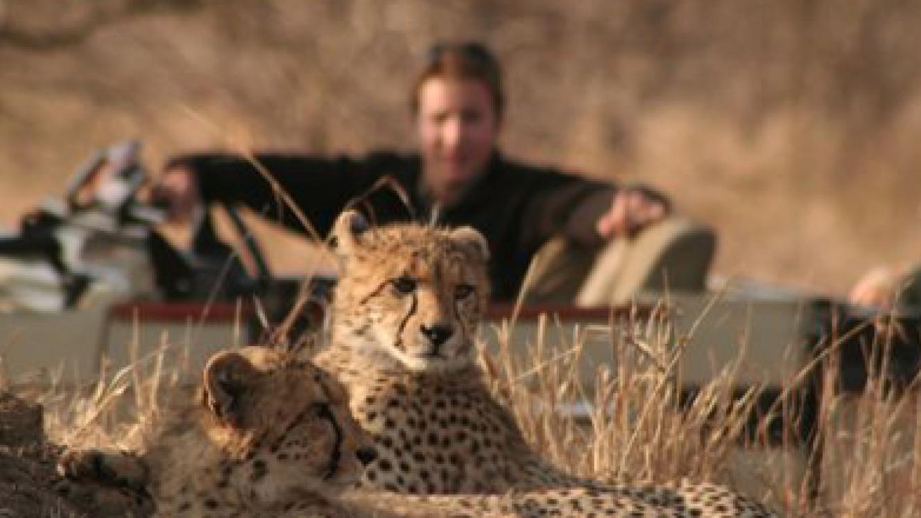 Our US judging panel select products for the US traveler.