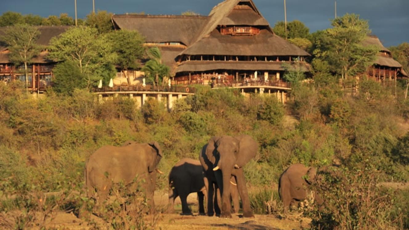 Africa Albida has invested heavily in upgrading the Victoria Falls Safari Lodge and opening adjacent properties.