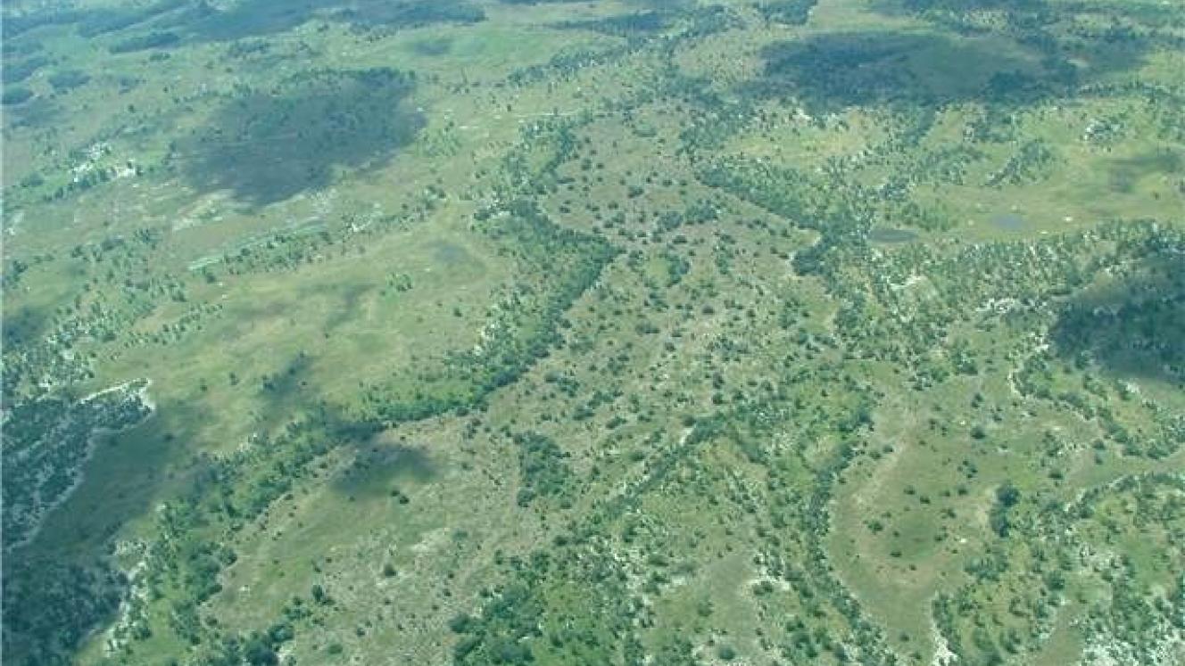 Overcrowding is threatening parts of the Okavango Delta, and mobile tourism licences for the Okavango could be frozen.