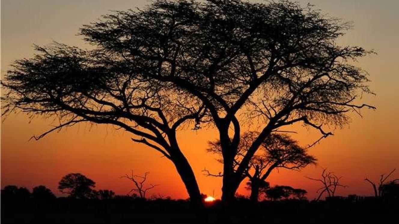 Hwange National Park in Zimbabwe.