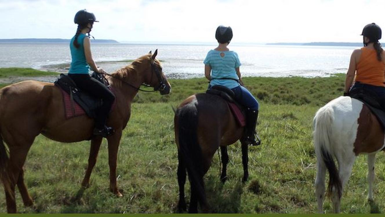 Hluhluwe Horse Safaris is the sole operator for horse safaris into the False Bay section of the iSimangaliso Wetland Park.