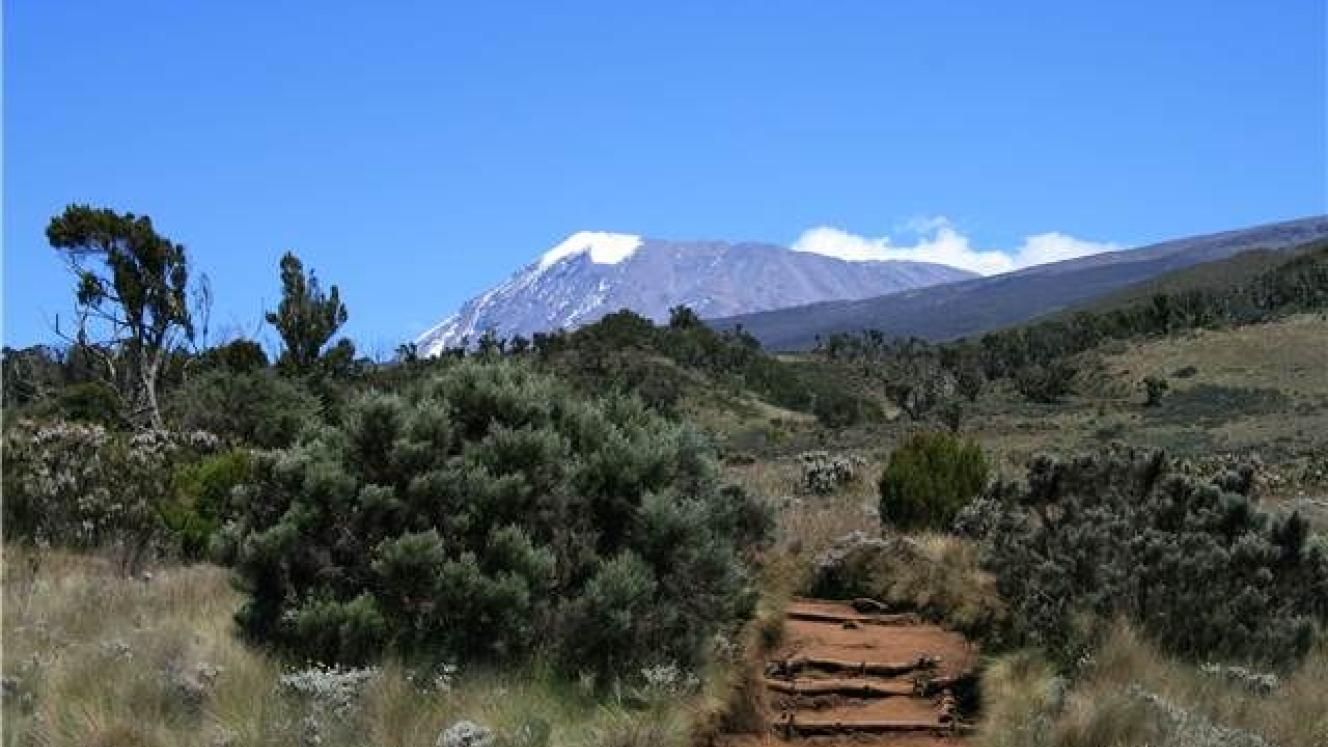 Tanzanian wildlife conservation has not reduced poverty in rural areas or contributed to economic growth.