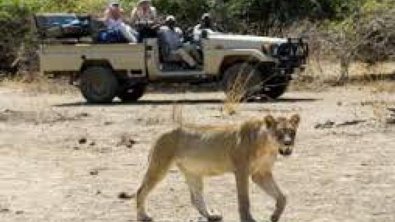 Proflight Zambia will launch a new flight route to Kafue, Zambia’s largest national park.