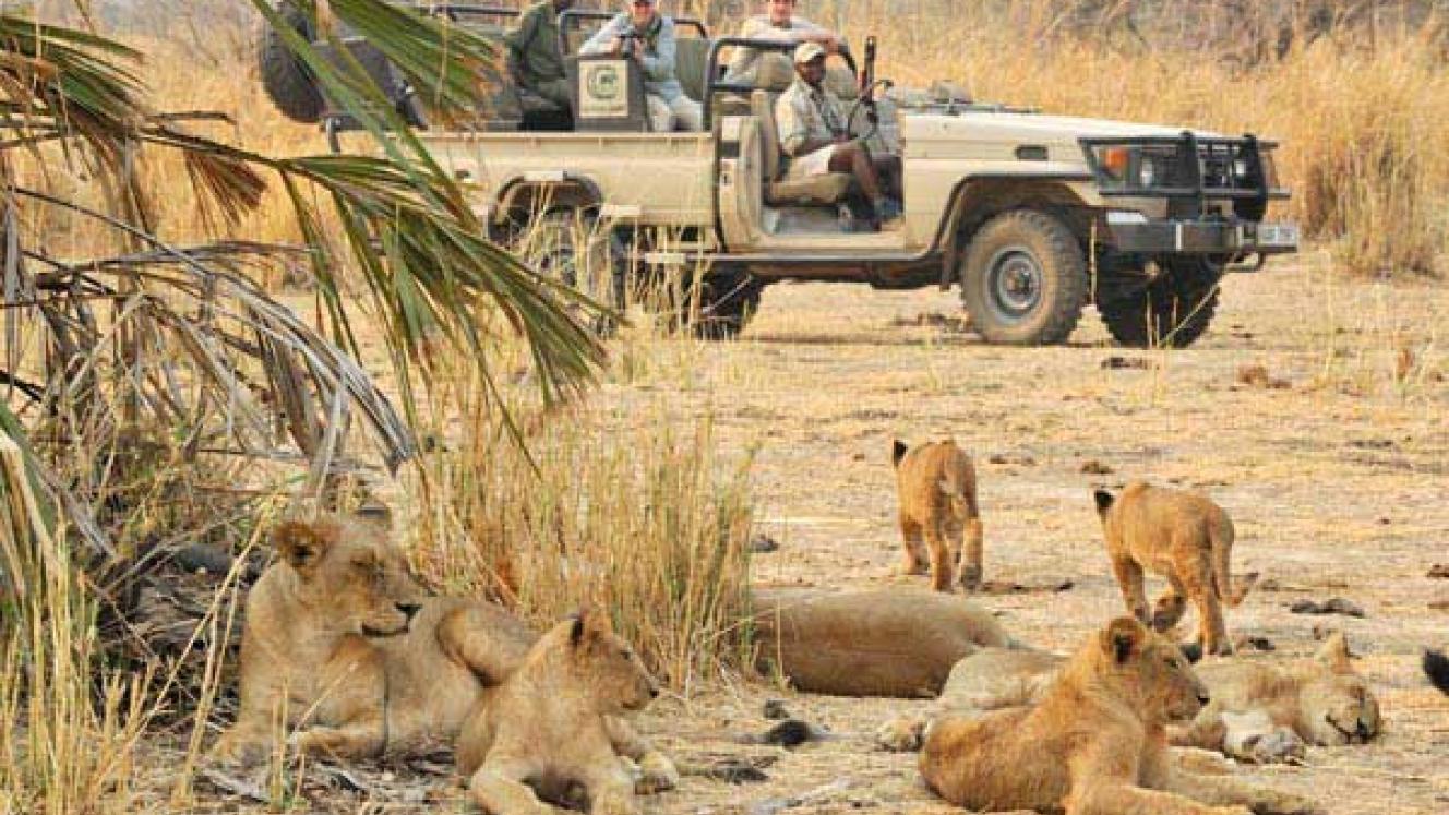 Zambia’s President, Edgar Lungu, last week officially opened the Lusaka National Park to the public.