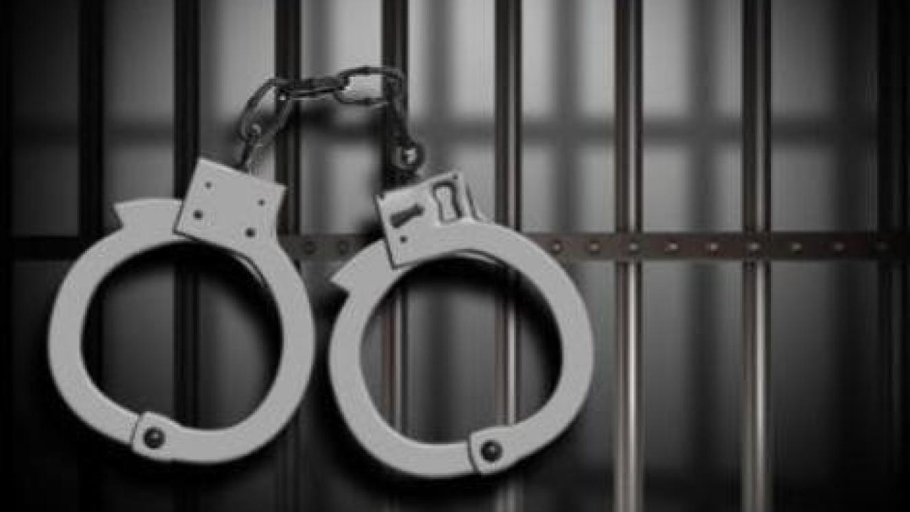 Elliot Manzini was sentenced to seven and a half years in prison for illegally entering the Kruger National Park, intent on poaching rhinos.