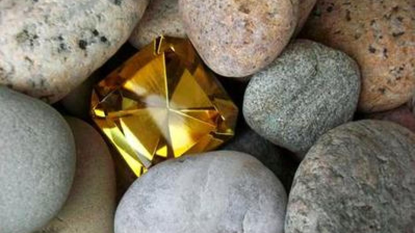 Share with us in a survey your hidden gems in Mpumalanga/Limpopo. 