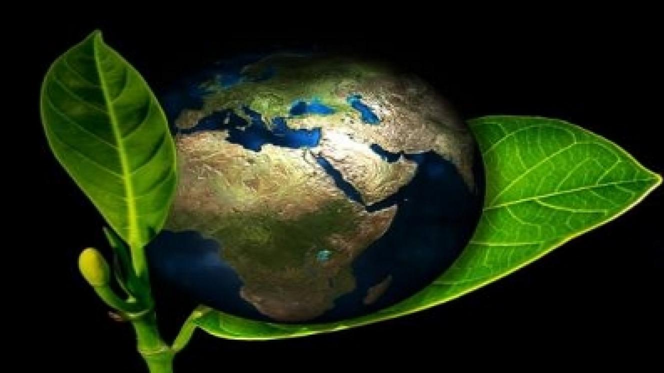 Australian and American travellers are among the world’s top sustainable travel intenders.