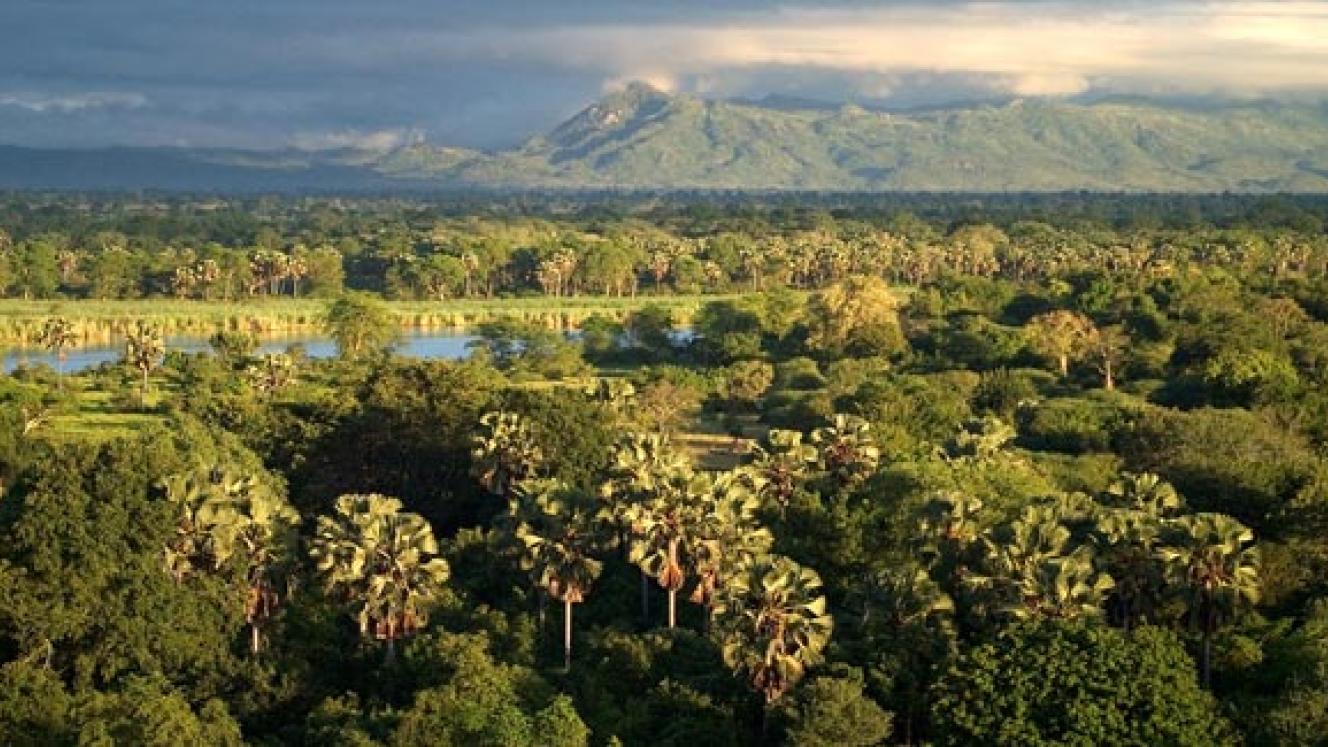 African Parks will manage and operate Liwonde National Park and Nkhotakota Wildlife Reserve for 20 years.