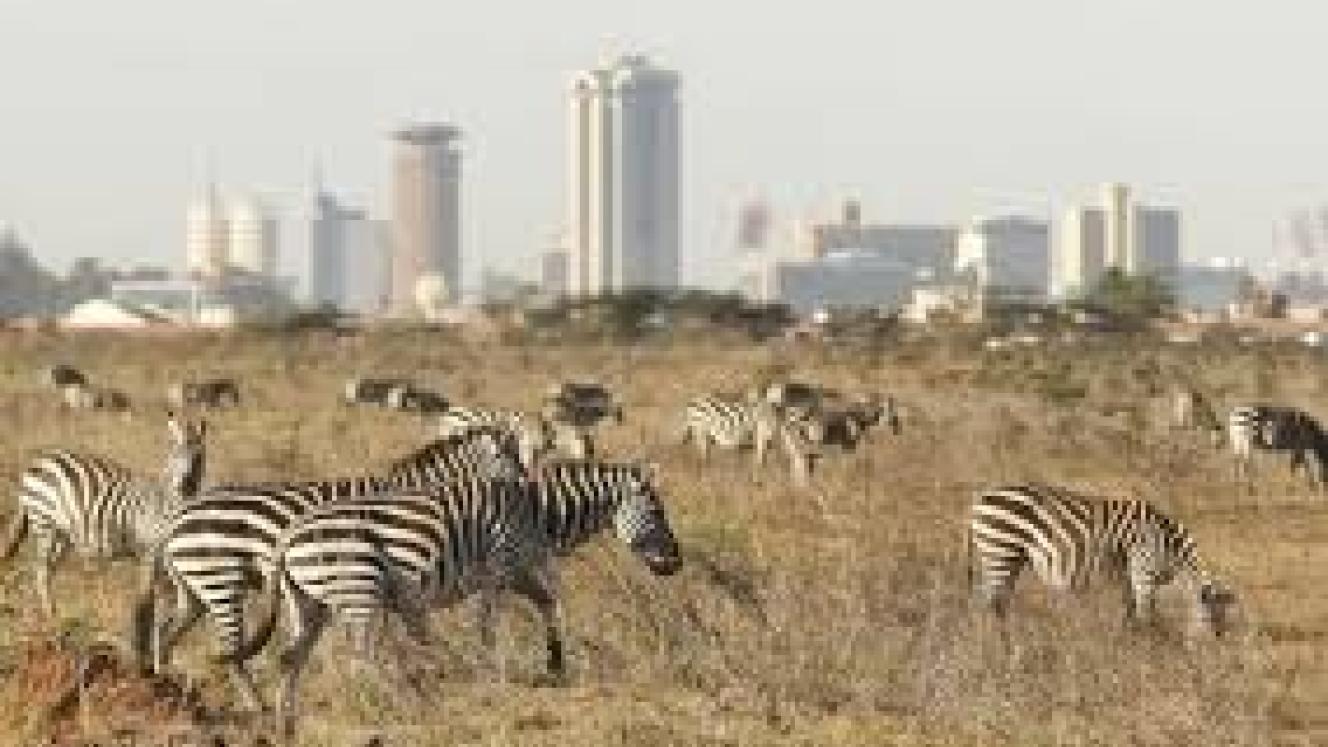  Eleven kilometres of a high-speed railway linking Nairobi and Mombasa will cut through the Nairobi National Park.