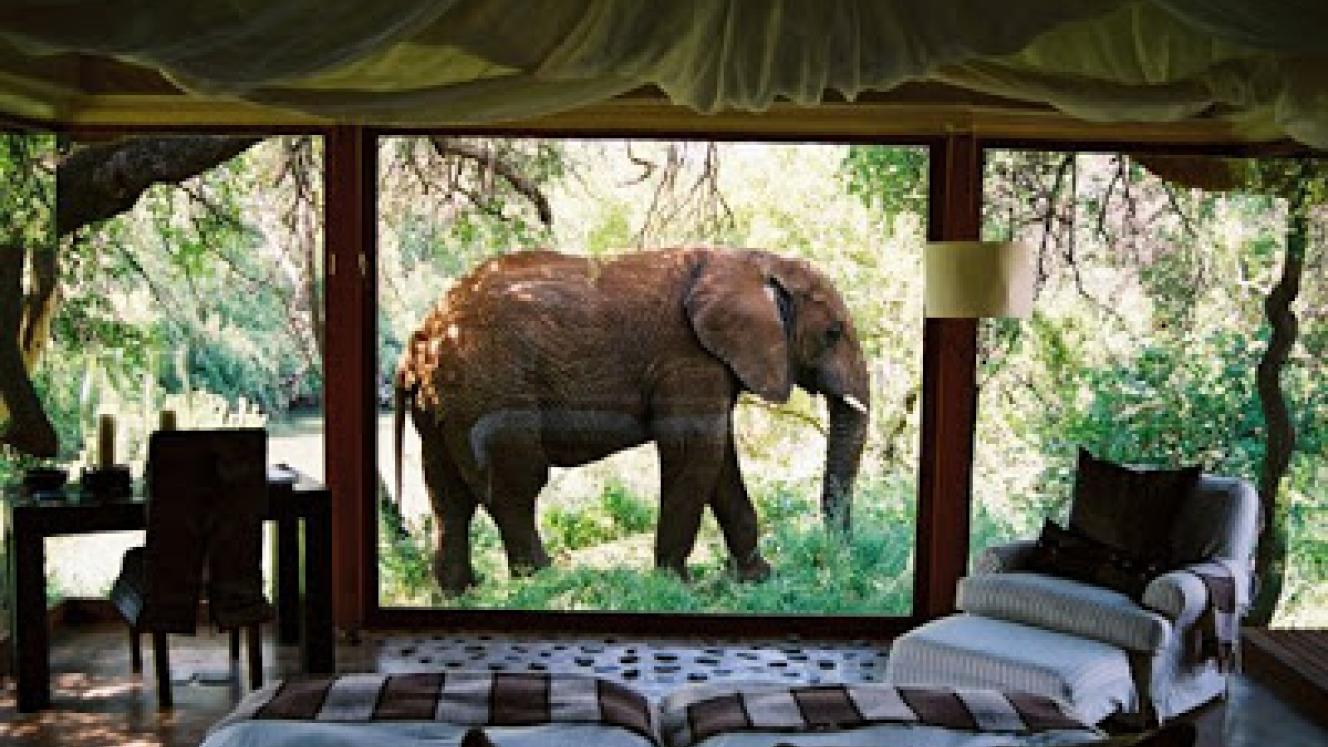 Sanctuary Retreats will add Makanyane Safari Lodge to its portfolio, effective August 1.