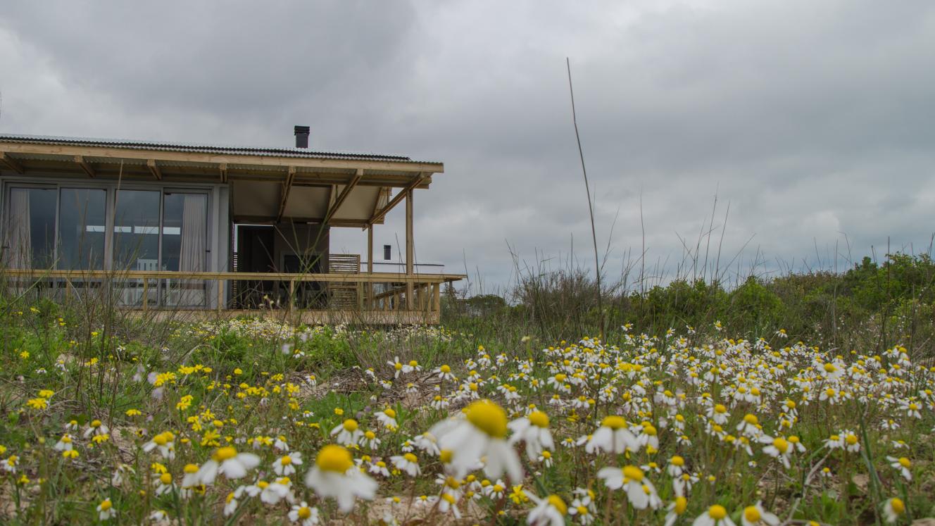 Rocherpan Nature Reserve on the Cape West Coast has unveiled new eco-friendly accommodation.