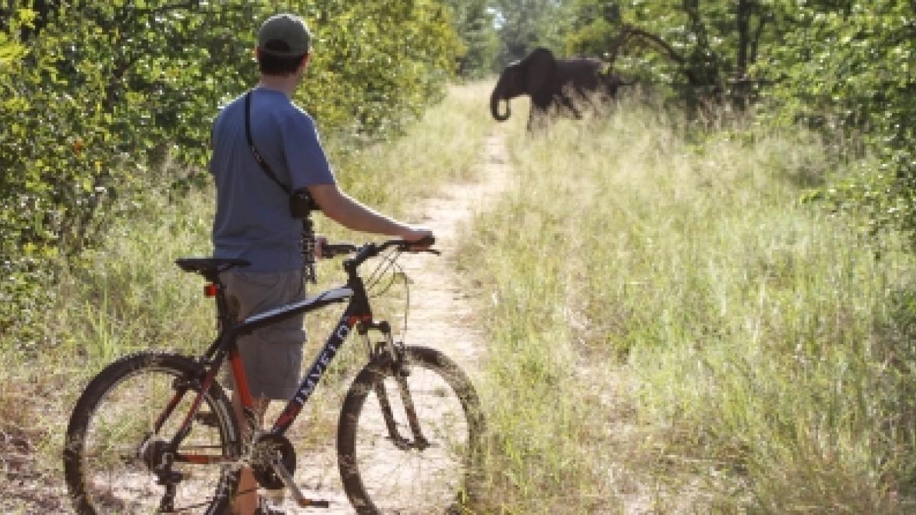 Game viewing by mountain bike is a unique activity offered by Jozibanini. 