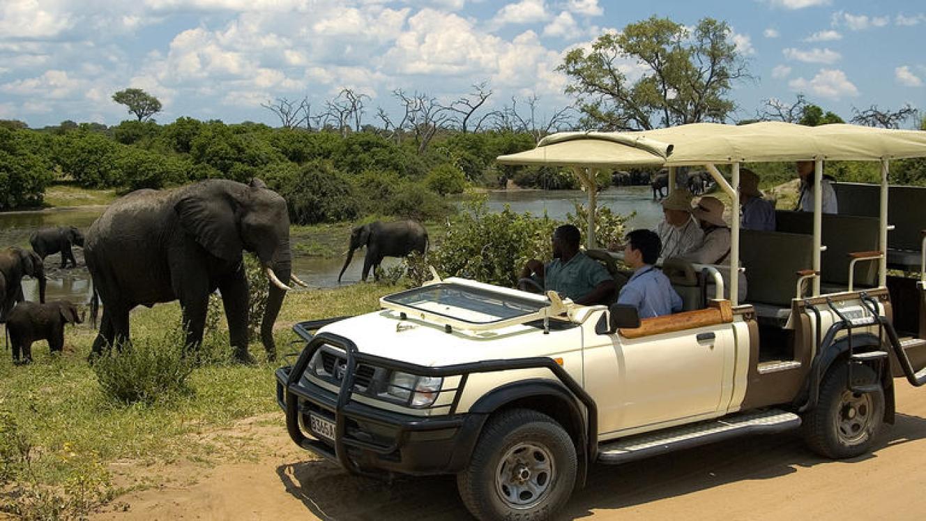 Day tour operators can now load their content on to itineraries on Wetu. 