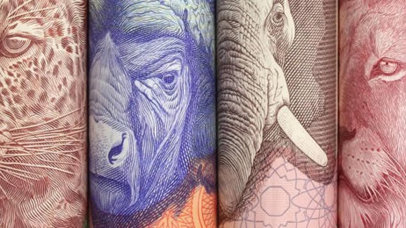 The rand has depreciated more than 30% against the British pound and US dollar.