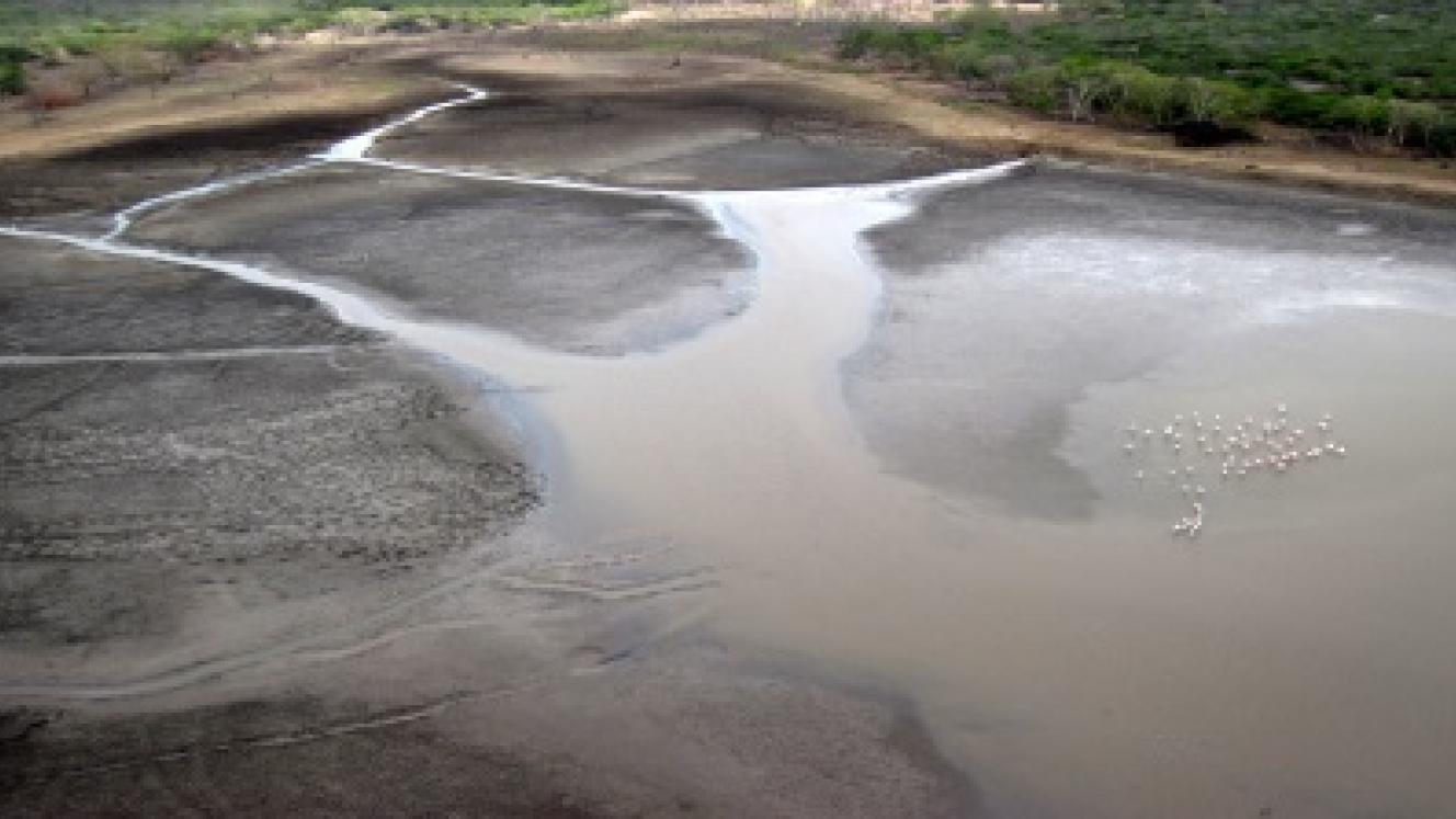 iSimangaliso has put numerous plans in place to cope with the recent drought. 