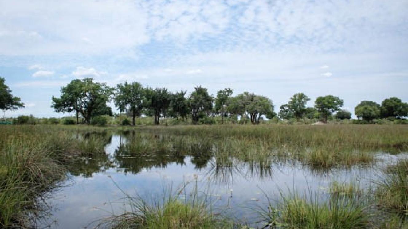 After some delays, Duba Expedition camp will open in a few months. 