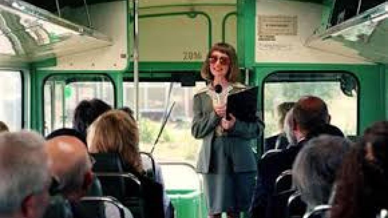 Tourists may be choosing guided tours instead of self-drive tours due to the favourable exchange rate. 