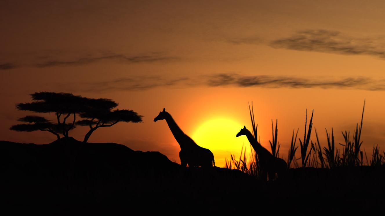 The SA Tourism UK roadshow will expose travel agents to products, activities and experiences in South Africa. 
