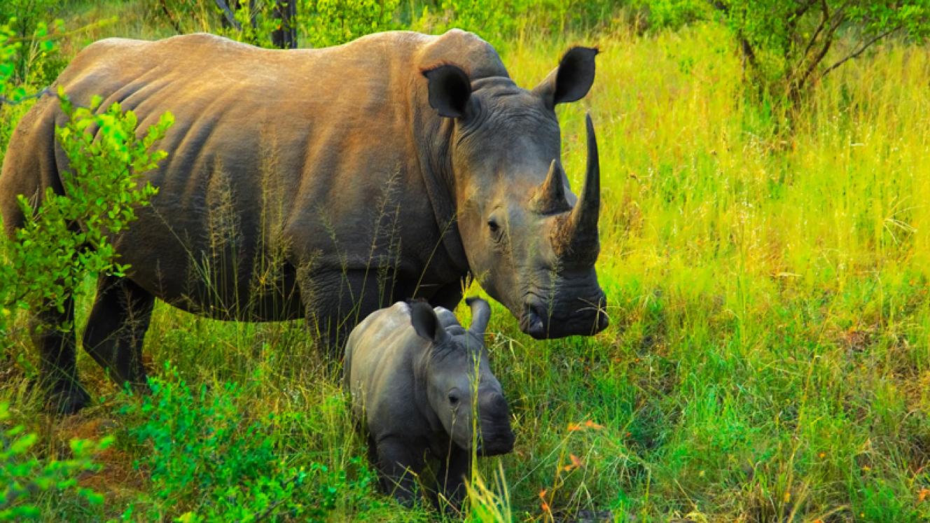 The compulsory conservancy fee will come into effect from June 1.