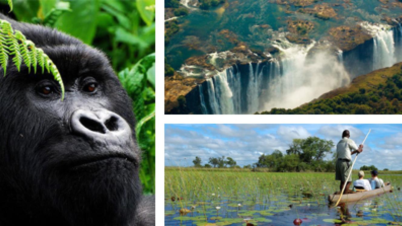 Tourism Update will increase its coverage of East Africa, Zimbabwe, Zambia, Namibia, Botswana and Mozambique.