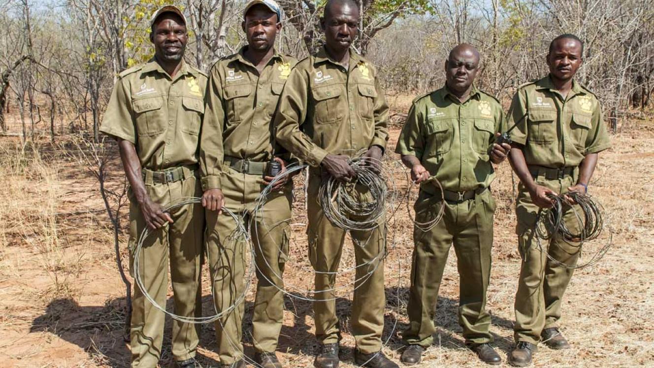 Victoria Falls Anti-Poaching Unit works to conserve Zimbabwe’s valuable wildlife resources. 