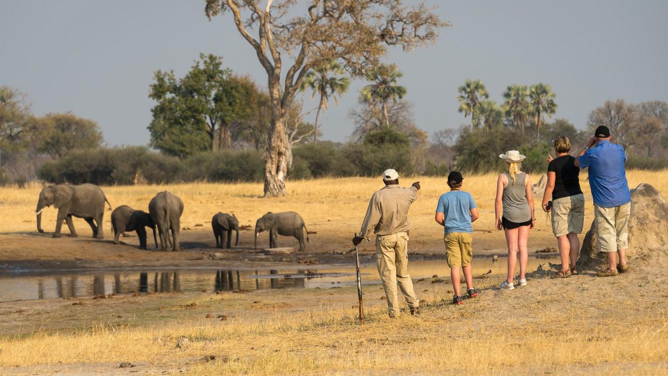 Wilderness Safaris’ privately guided explorations are led by experienced guides and limited to seven guests.