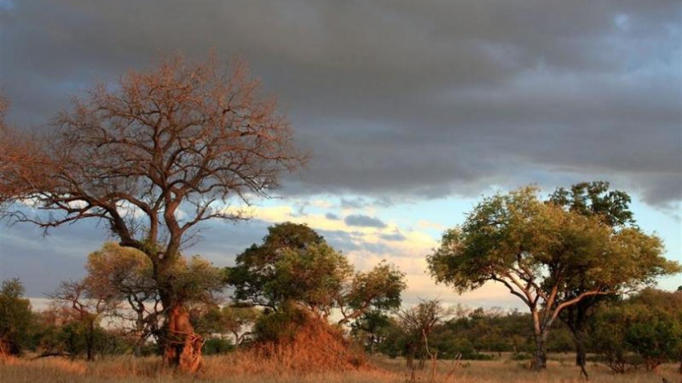 A new tented safari lodge will be developed in the Kruger National Park, following approval from the Department of Environmental Affairs.