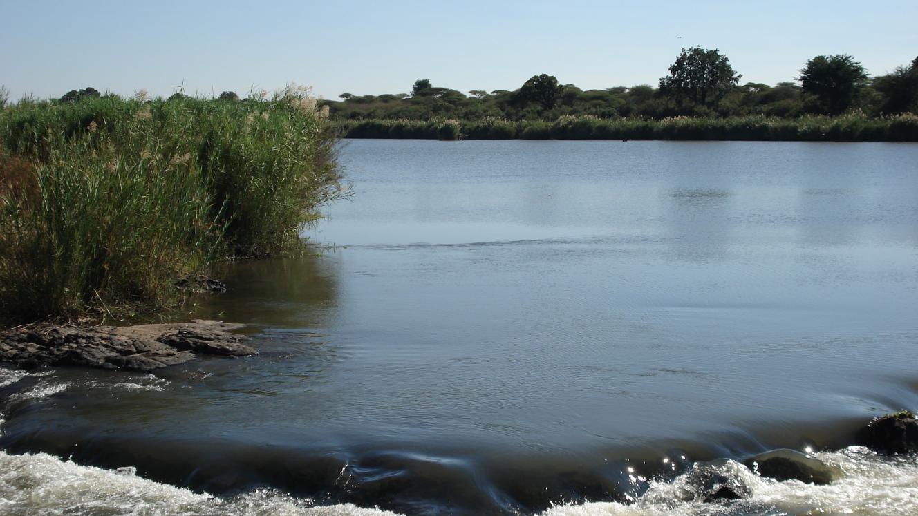 The proposed 240-bed Malelane Safari Lodge in the Kruger National Park will not be self-catering.