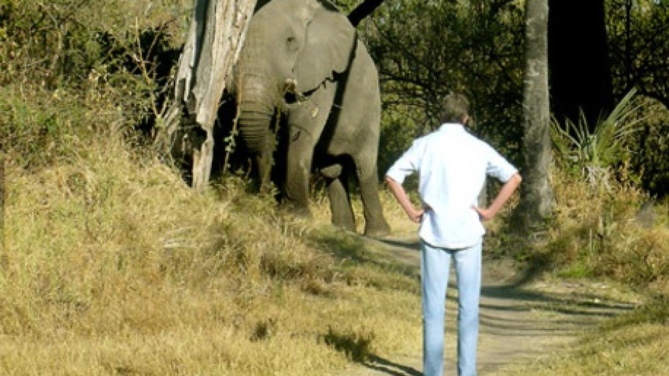 Peter Sandenbergh is fondly remembered by his colleagues for his love of the bush and disregard for shoes.