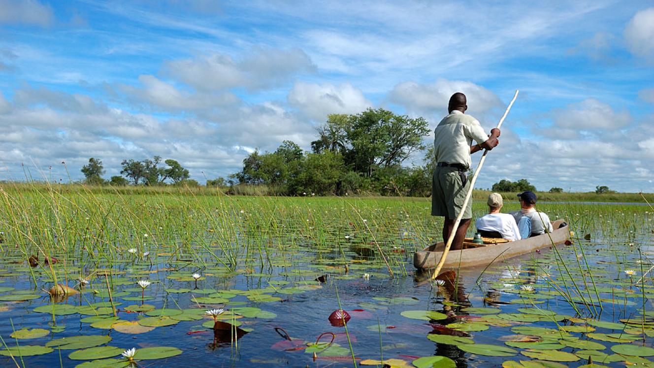 Bookings to the Okavango delta have rebounded, members of the industry report.