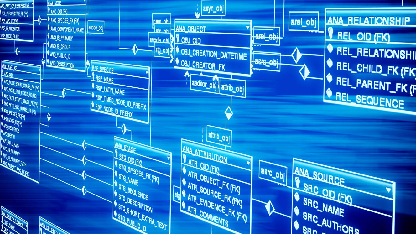 Qualifying EME and QSEs are able to register on TEP’s supplier database.