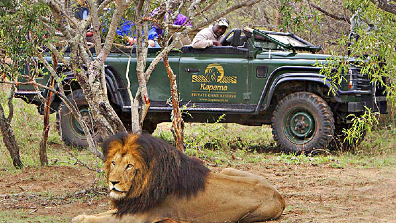 The eight day Best of South Africa tour includes time spent Kapama Southern Camp or similar.