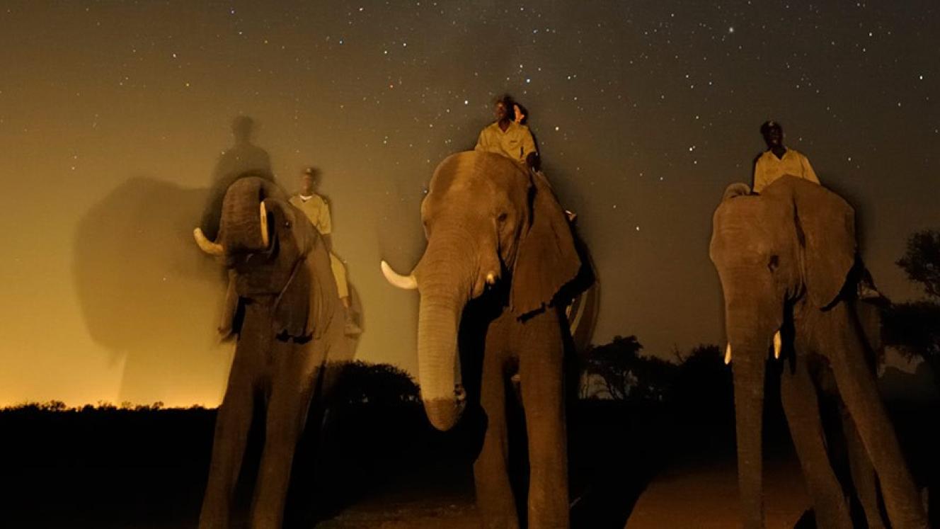 Camp Jabulani will phase out elephant-back safaris over the next year.