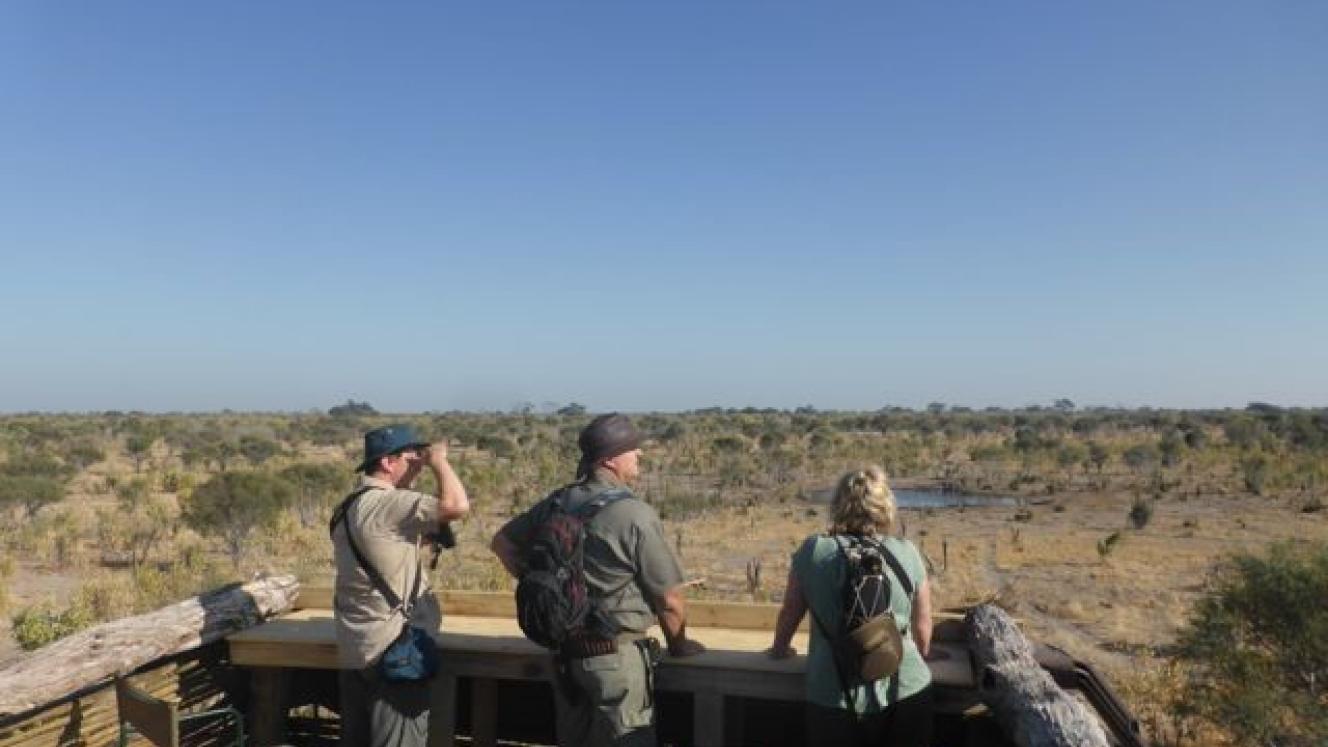The platform overlooks the waterhole with wildlife such as buffalo, kudu and elephant nearby.