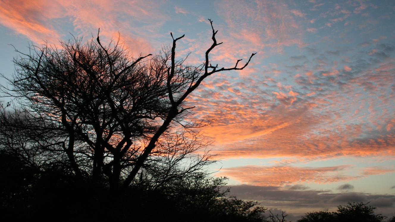 SANParks has repaired a hole in the fence following the attack on a 15-year-old boy by a hyena.