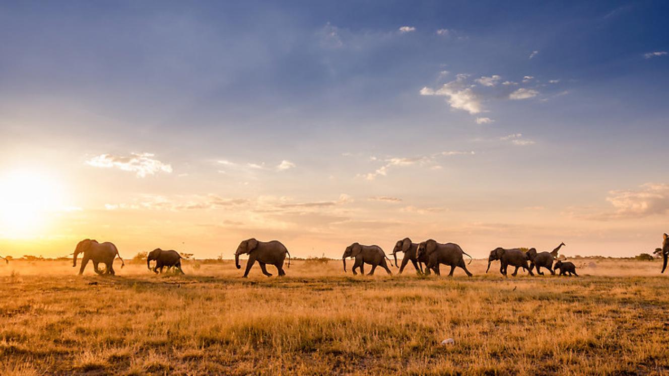 Botswana Tourism Organisation is looking to develop new adventure, culture and heritage tourism products.