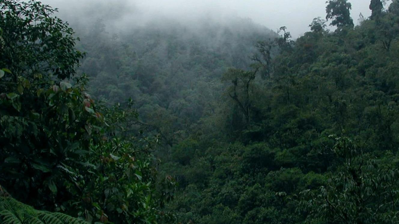 Elevating the status of Uganda’s Pian Upe Wildlife Reserve will boost visitor numbers and augment conservation efforts, says Isaiah Obwoya, President of the Eastern Entrepreneurs Network.