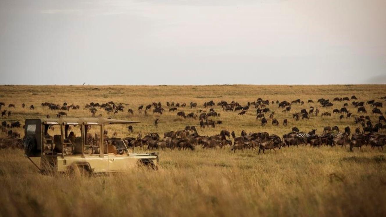 Eight of Asilia’s camps in Tanzania have been recognised for best practice in local responsible tourism.
