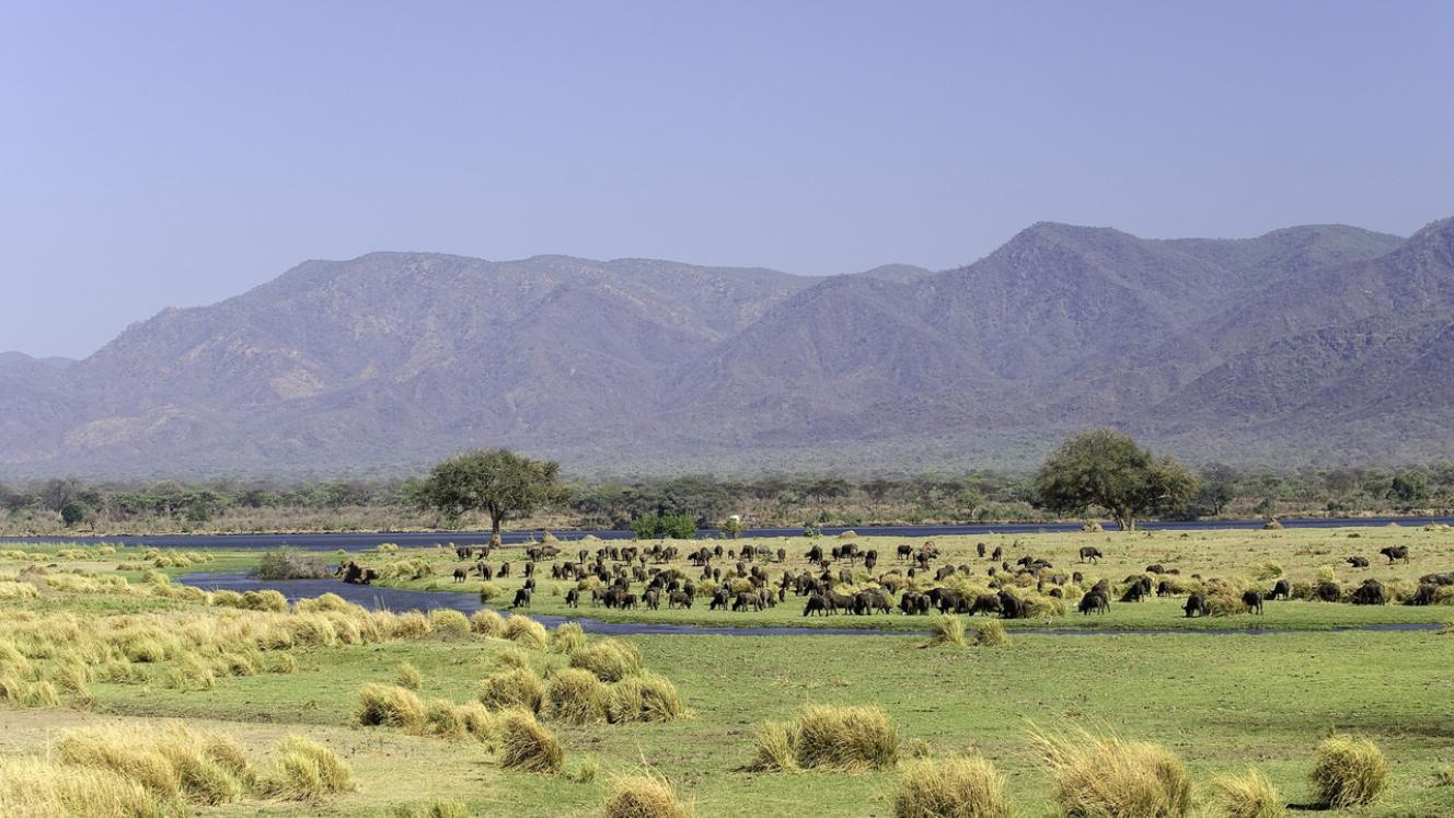 The new Little Ruckomechi Camp is situated in Wilderness Safaris’ private concession in Zimbabwe’s Mana Pools National Park.