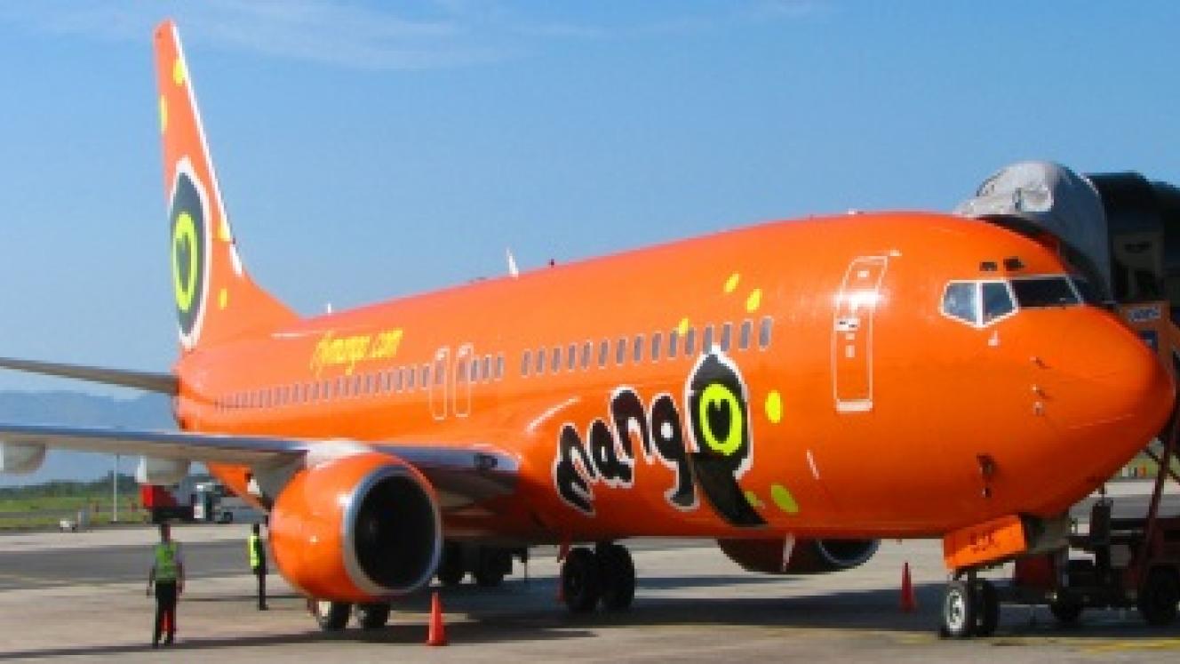 Former Co-Chairperson of Skywise Airlines is in the running to become the next CEO of Mango.