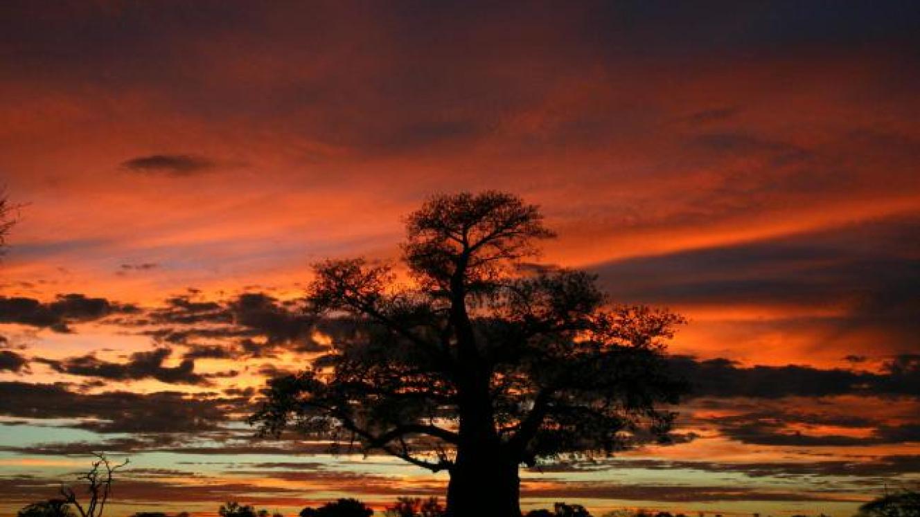 lans for a 40-room safari camp in Moremi Game Reserve have been placed on hold.