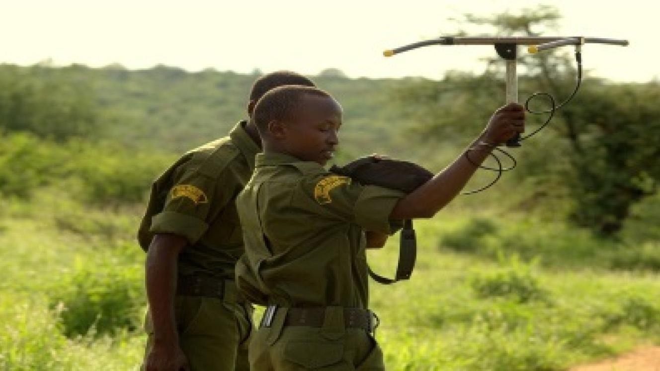 Sera Community Conservancy rangers are equipped with transmitters to locate rhinos.