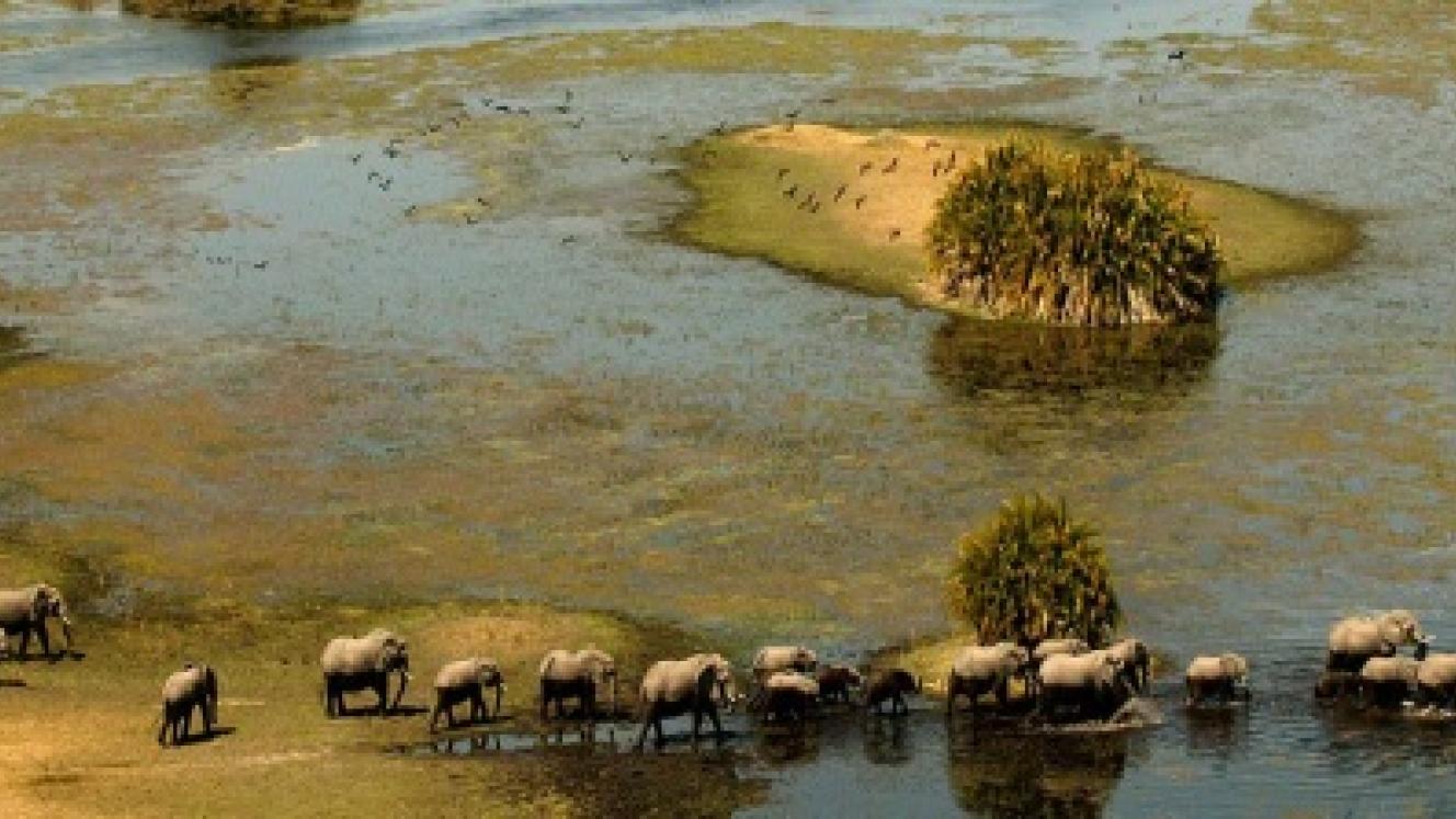 The tourism industry could exacerbate the treat of biodiversity and sustainable use of resources in the Okavango Delta.