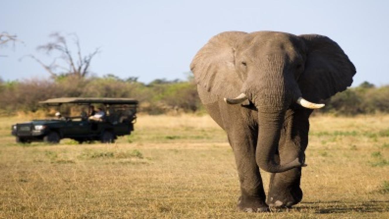 Lamu County Government is holding talks with the Kenya Wildlife Service in a bid to introduce game drives in Dodori National Reserve.