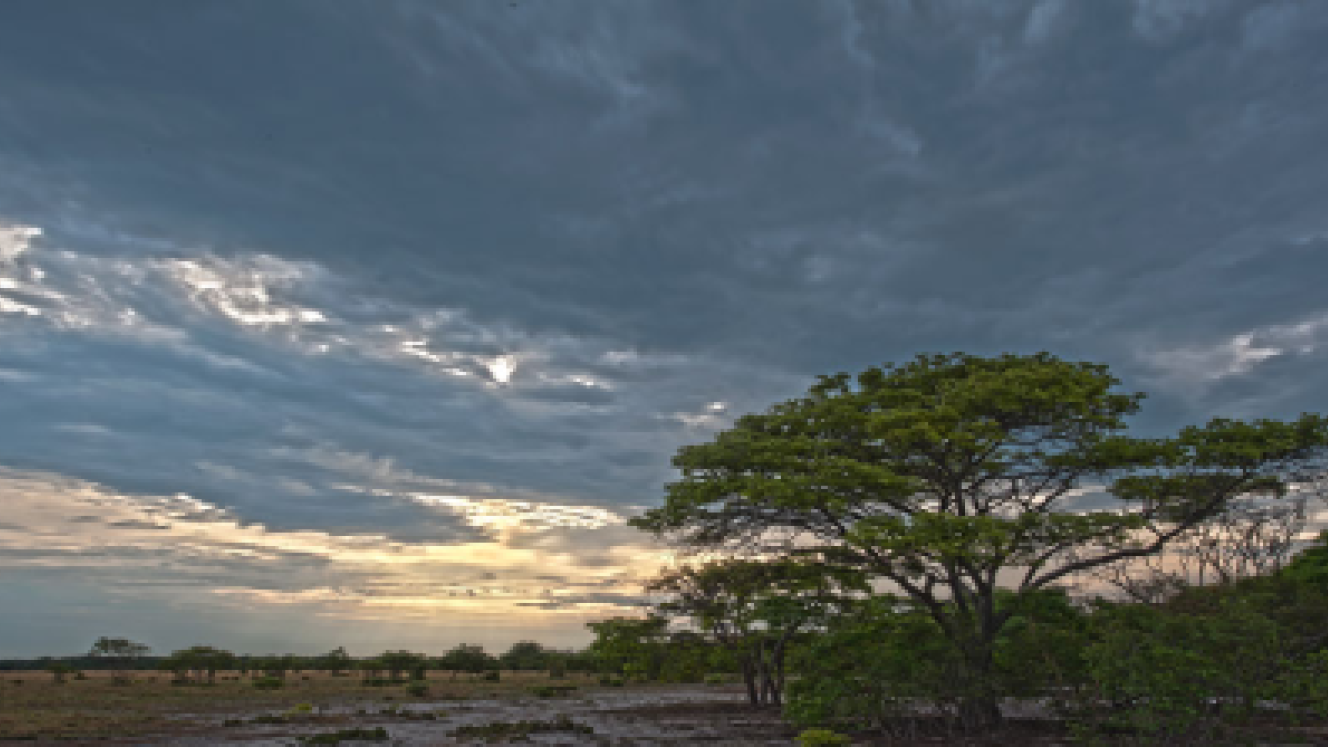 Proflight will begin a twice-weekly schedule between Lusaka and Kalabo, the nearest town to Liuwa Plain National Park.