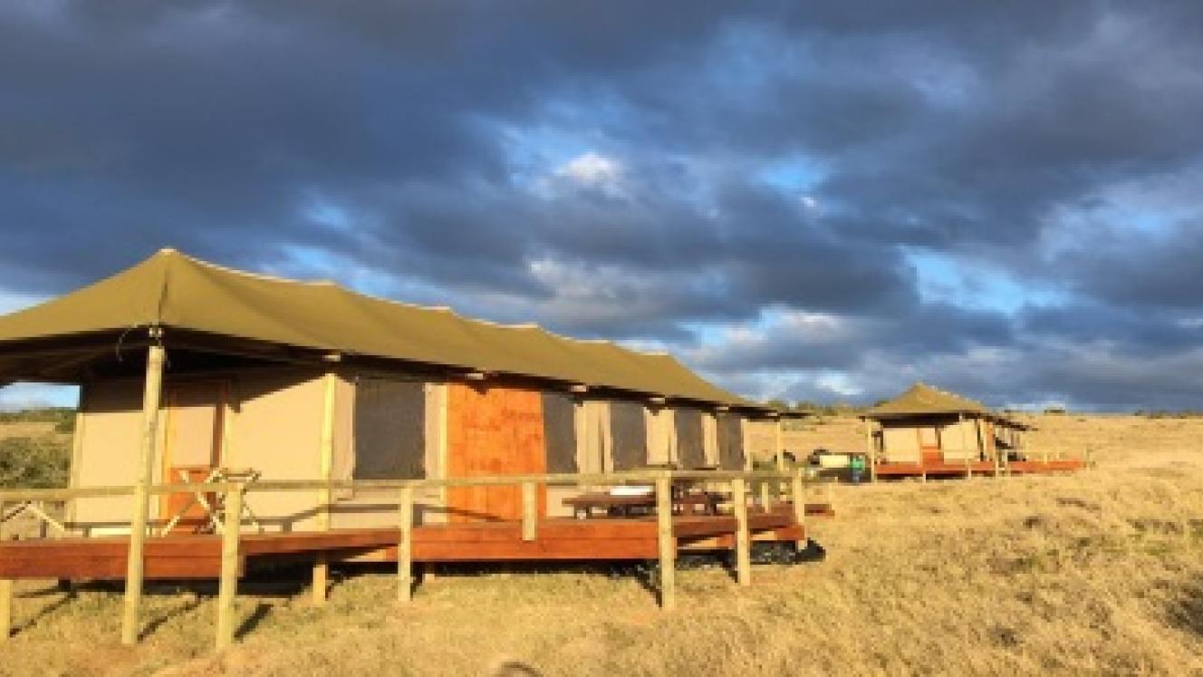New luxury safari and family safari tents have been introduced at Hlosi Game Lodge and Bukela Game Lodge.